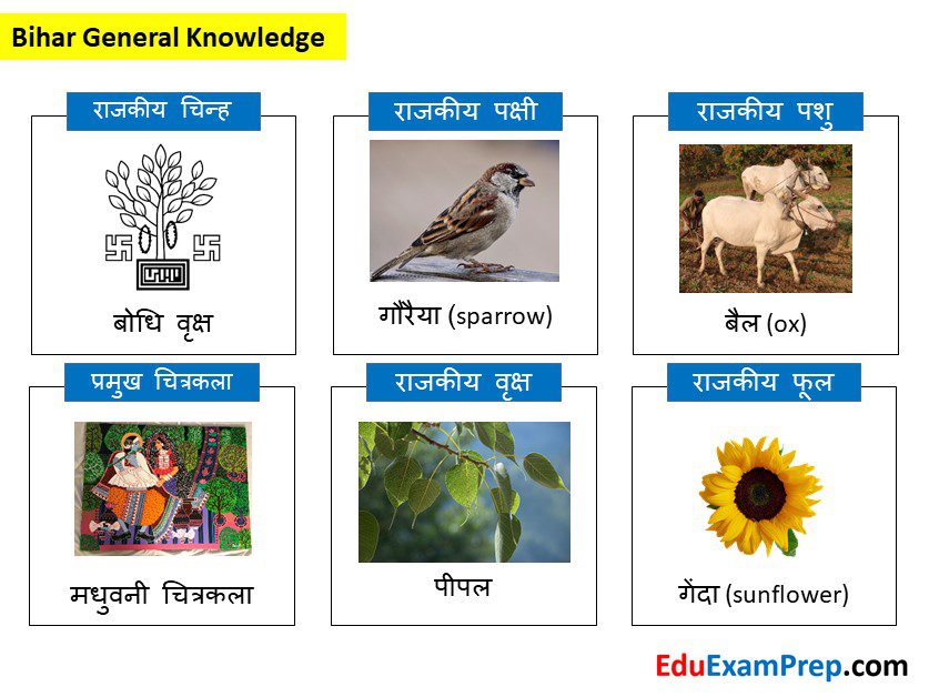 Bihar general knowledge | Bihar GK